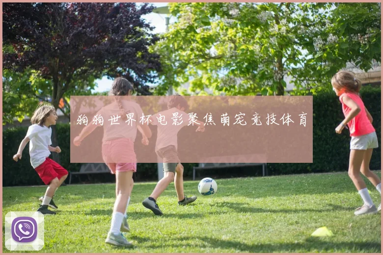 狗狗世界杯电影聚焦萌宠竞技体育