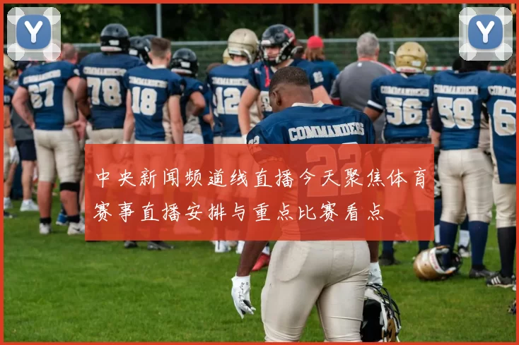 中央新闻频道线直播今天聚焦体育赛事直播安排与重点比赛看点