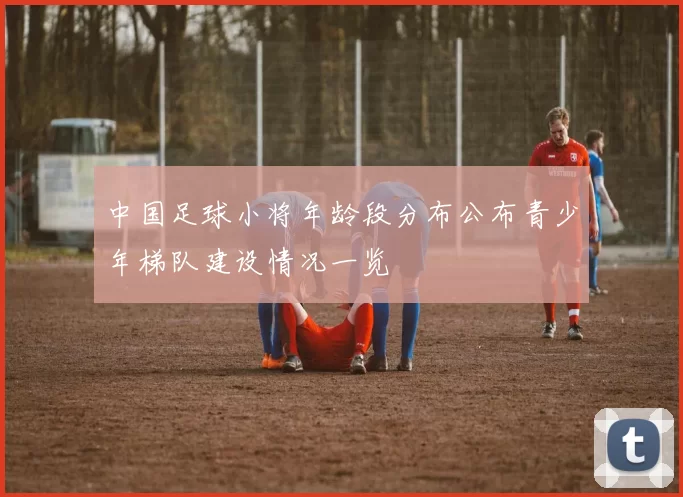 中国足球小将年龄段分布公布青少年梯队建设情况一览