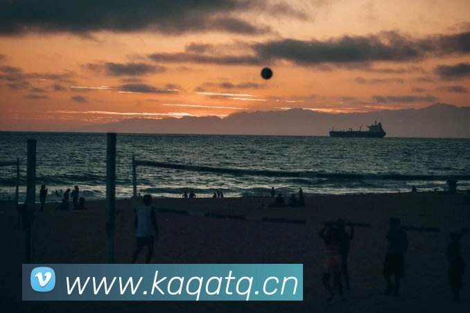 196体育下载(中国)官方在线登录发展历程